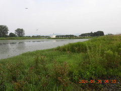 DSCN4460.JPG