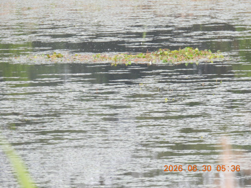 DSCN4466.JPG