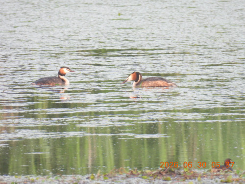 DSCN4467.JPG