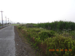 DSCN4472.JPG