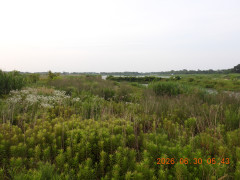 DSCN4473.JPG