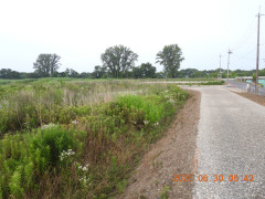DSCN4474.JPG