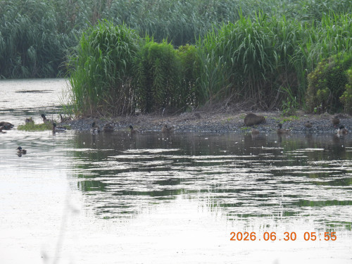 DSCN4481.JPG