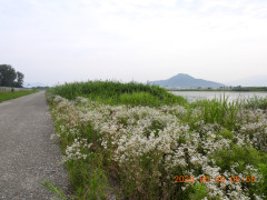 DSCN4482.JPG