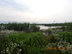 DSCN4483.JPG
