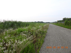 DSCN4484.JPG