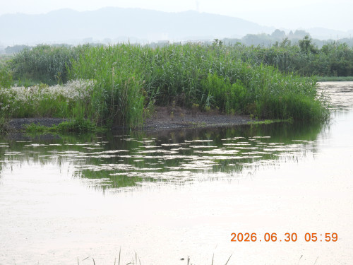 DSCN4486.JPG