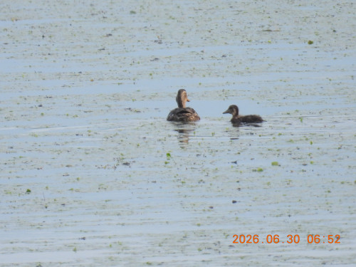 DSCN4519.JPG