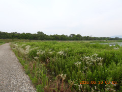 DSCN4488.JPG