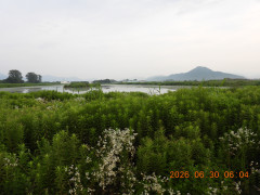 DSCN4489.JPG