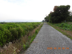 DSCN4490.JPG