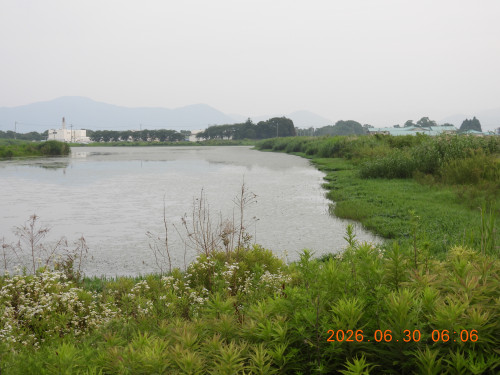 DSCN4491.JPG