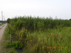 DSCN4497.JPG