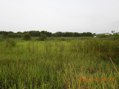 DSCN4498.JPG