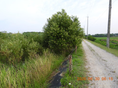DSCN4499.JPG