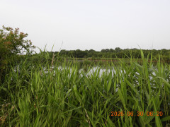 DSCN4501.JPG