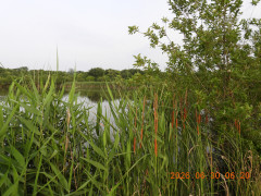 DSCN4502.JPG