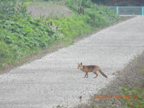 DSCN4524.JPG