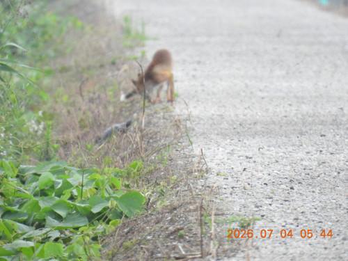 DSCN4526.JPG