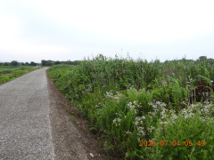 DSCN4529.JPG