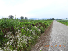 DSCN4531.JPG