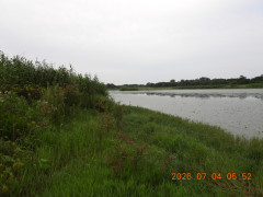DSCN4532.JPG