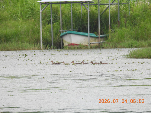 DSCN4537.JPG
