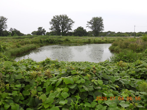 DSCN4539.JPG