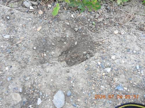 DSCN4540.JPG