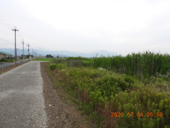 DSCN4542.JPG