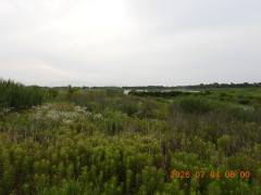 DSCN4543.JPG