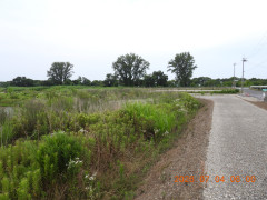 DSCN4544.JPG
