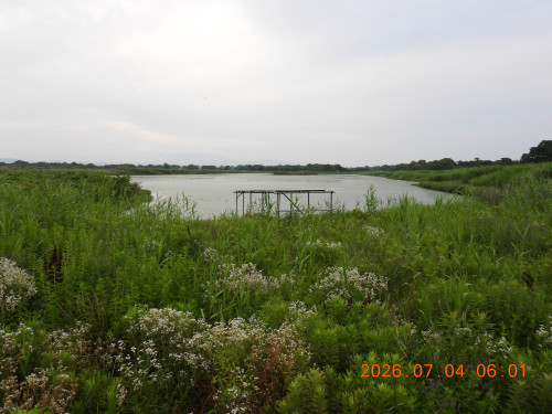 DSCN4545.JPG