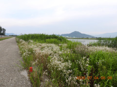 DSCN4547.JPG