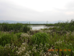 DSCN4548.JPG