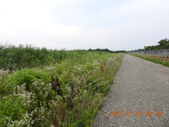 DSCN4549.JPG