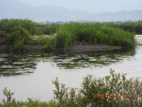 DSCN4550.JPG