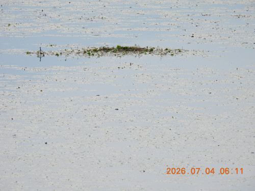 DSCN4551.JPG