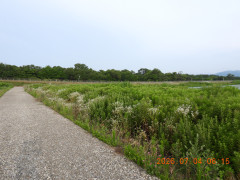 DSCN4552.JPG