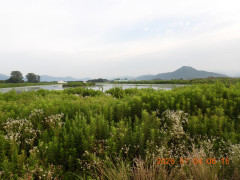 DSCN4553.JPG