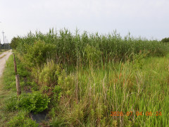 DSCN4559.JPG