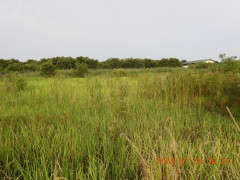 DSCN4560.JPG