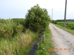 DSCN4561.JPG