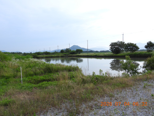 DSCN4566.JPG
