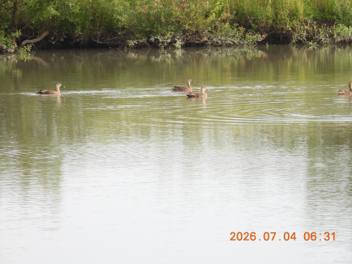 DSCN4565.JPG