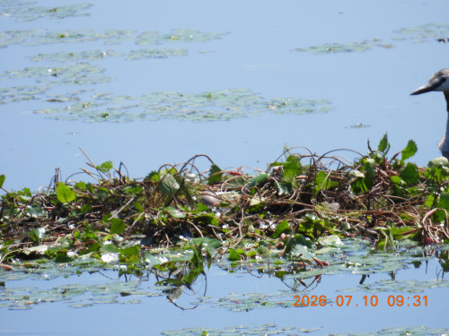 DSCN4635.JPG