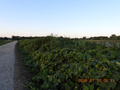 DSCN4570.JPG
