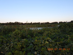DSCN4571.JPG