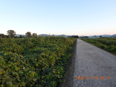 DSCN4573.JPG
