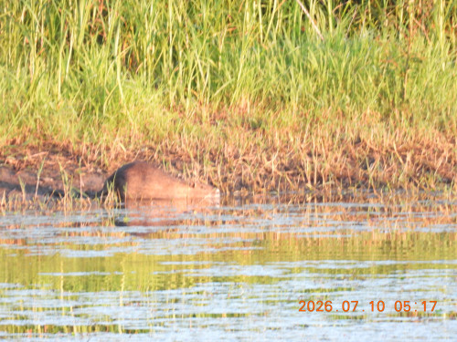 DSCN4574.JPG